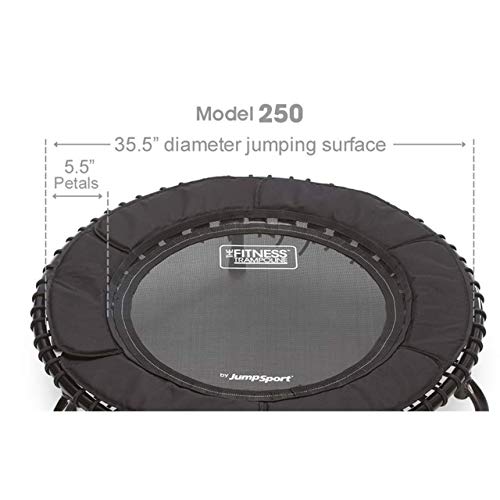 JumpSport 250 Fitness Rebounder Mini Trampoline in Home Cardio Fitness (2 Pack)