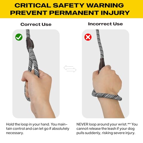 Fida Durable Slip Lead Dog Leash, 6 FT x 1/2" Dog Training Leash, Grey - color: Grey, size: Large (1/2" x 6 ft)