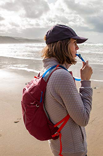CamelBak Reservoir Big Bite Valves, Multi, One Size