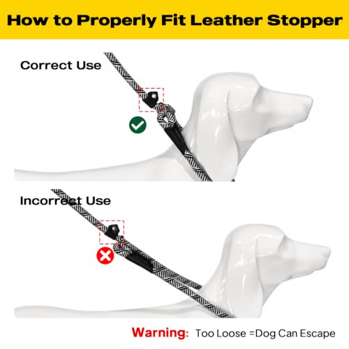 Fida Durable Slip Lead Dog Leash, 4 FT x 1/2" Dog Training Leash, Grey - color: Grey, size: Large (1/2" x 4 ft)