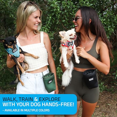 DOOG Treat & Training Pouch - Green | Clip-On Pouch for Dog Walks & Training - color: Green, size: Small