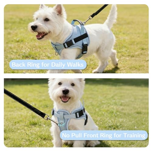 AIITLE No-Pull Dog Harness Reflective Mesh Vest Adjustable, Blue M - color: Blue, size: M