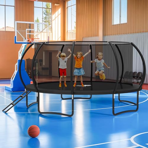 8FT 10 FT 12FT 14FT 16FT Trampolines Outdoor with Enclosure Net and Ladder - color: Black, size: 16 FT