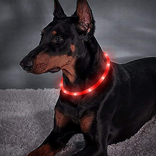 BSEEN Light Up Dog Collar, Silicone LED Dog Collar Rechargeable Cat Collar Cuttable Glowing Puppy Necklace Safety Dog Lights for Night Walking (Red) - color: Red-Standard(70cm)