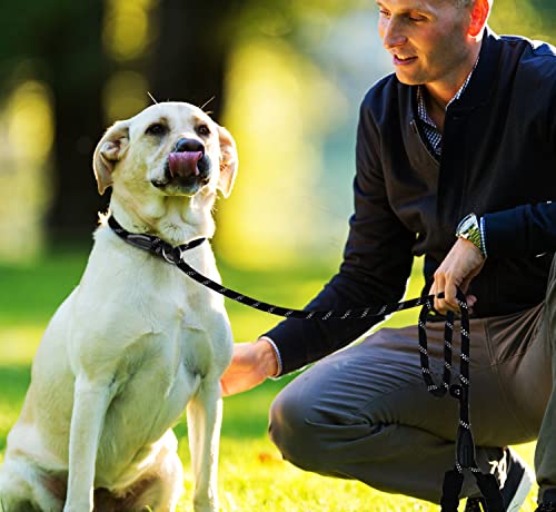 Dog Leash 6 FT, Durable Premium Quality Strong Training Rope Slip Leash - color: Black, size: 6 Feet x 3/8 Inch