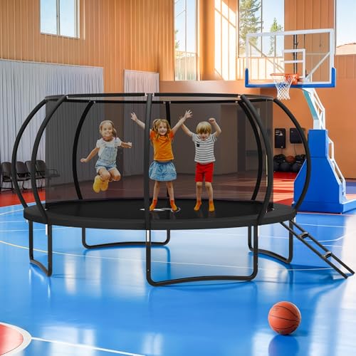 8FT 10 FT 12FT 14FT 16FT Trampolines Outdoor with Enclosure Net and Ladder - color: Black, size: 14 FT