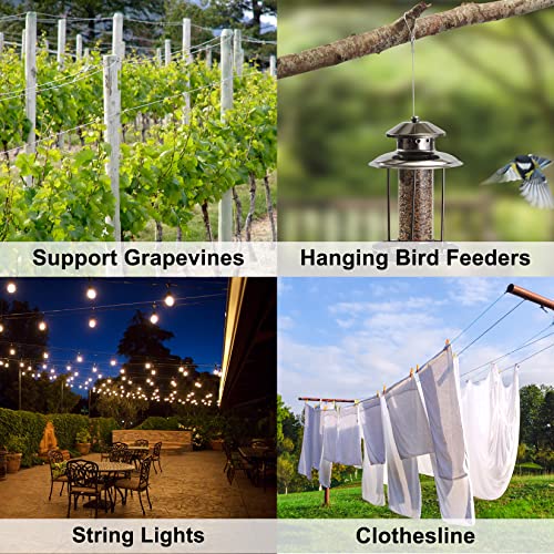1/16 Wire Rope, 200FT 304 Stainless Steel Cable with 100Pcs Crimp Sleeves, Aircraft Grade, 7x7 Strand, 368lbs Breaking Strength, for Garden Trellis, Clothesline, Railing,Trellis - size: 200 ft