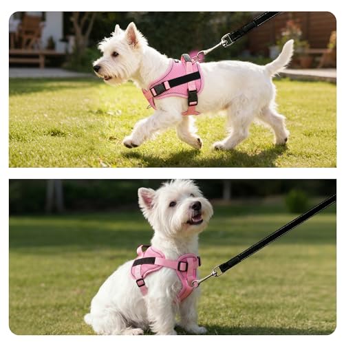 AIITLE No-Pull Dog Harness Reflective Mesh Vest Adjustable, Pink S - color: Pink, size: S