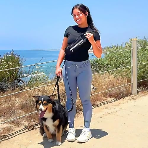 Hands Free Dog Leash with Waist Pouch, Reflective Bungee, Dogs Up to 100 lb - color: Black