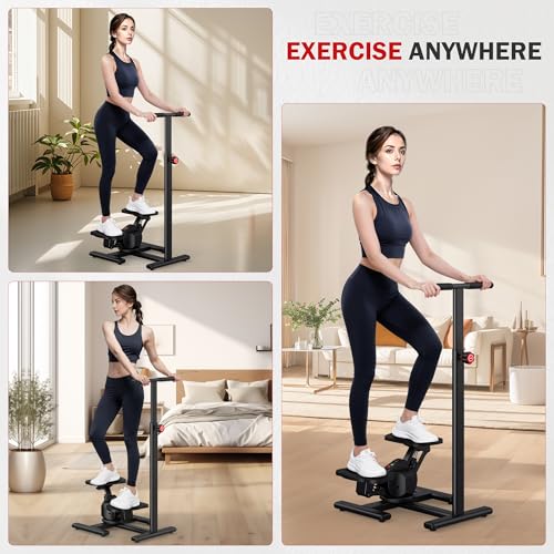 Steppers for Exercise,Twist Stepper Machine with Handlebar, Mini Stepper with 300LBS Loading Capacity,Full Body Cardio Equipment,360° Rotatable Fitness Stepper with LCD Monitor