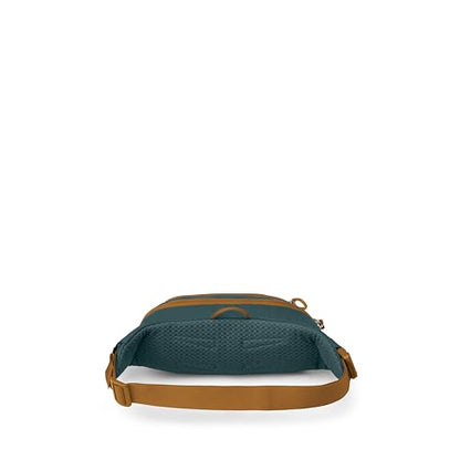 Osprey Daylite Waist Pack - Fanny Pack with Crossbody Shoulder Carry Option - Lightweight Hip Bag - color: Torrent Blue