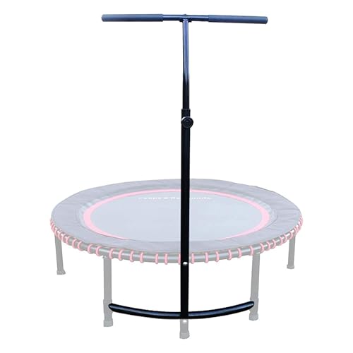 LEAPS & REBOUNDS Fitness Rebounder, 48 in, Stability Bar, Purple