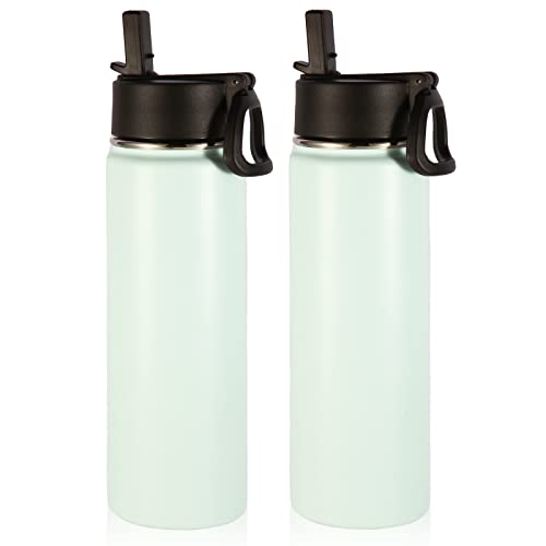 Volhoply Insulated Water Bottles with Straw Bulk 2 Pack, 22 oz Stainless Steel Bottle with Handle Lid,Double Walled Metal Water Cups with Wide Mouth, Reusable Cold Water Flask for School(Fog,2 Set) - color: Fog