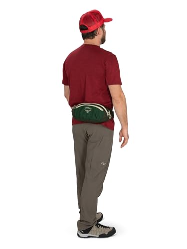 Osprey Daylite Waist Pack - Fanny Pack with Crossbody Shoulder Carry Option - Lightweight Hip Bag - color: Blue Spikemass/Alkaline