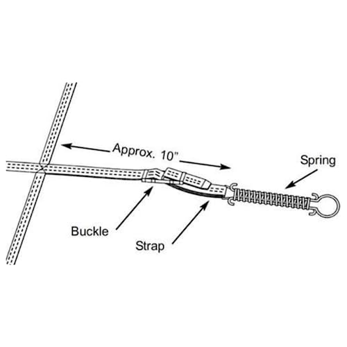 The Door Bull Stainless Steel Pool Safety Cover Springs - 10 Pack - size: 10 Pack