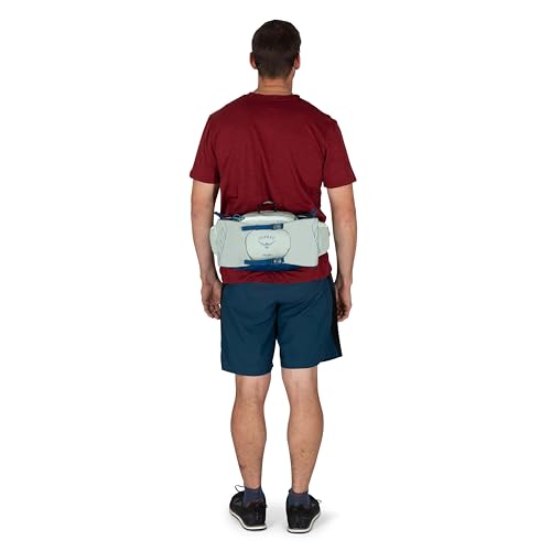 Osprey Talon 6L Men's Lumbar Hiking Waist Pack - Fanny Pack with Water Bottle Holders - color: Scoria Blue/Night Shift, style: 6l
