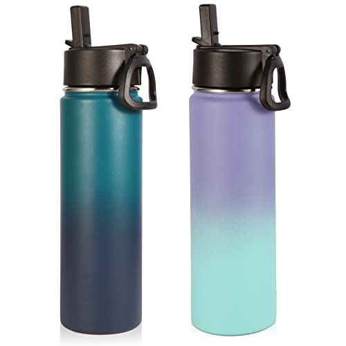 Volhoply Insulated Water Bottles with Straw Bulk 2 Pack, 22 oz Stainless Steel Sports Bottle with Handle Lid,Double Walled Metal Water Cups with Wide Mouth,Reusable Cold Water Flask(Assorted,2 Set) - color: Assorted
