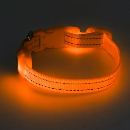 Light Up Dog Collar for Small Puppies (Orange) - color: Orange