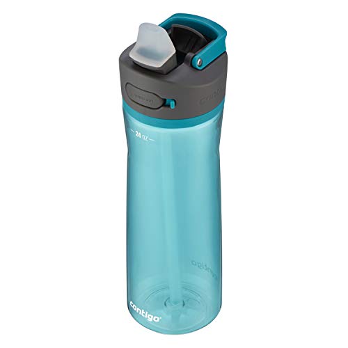 Contigo Ashland 2.0 Leak-Proof Water Bottle with Lid Lock and Angled Straw, Dishwasher Safe, Interchangeable Lid, 24oz, Juniper - color: Juniper, size: 24oz (Pack of 1), style: Single