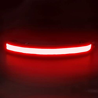 BSEEN LED Running Waist Belt - USB Rechargeable Reflective Glowing LED Waistband, Flashing Safety Light Belt for Runners, Joggers, Walkers, Pet Owners, Cyclists - color: Red