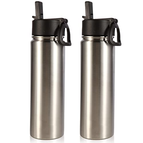 Volhoply Insulated Water Bottles with Straw Bulk 2 Pack, 22 oz Stainless Steel Sports Bottle with Handle Lid, Double Walled Vacuum Metal Cups Cup, Reusable Cold Water Flask for Hiking(Silver,2 Set) - color: Silver
