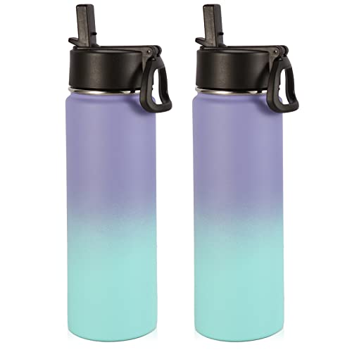 Volhoply Insulated Water Bottles with Straw Bulk 2 Pack, 22 oz Stainless Steel Sports Bottle with Handle Lid,Double Wall Vacuum Metal Travel Water Cups with Wide Mouth for Hiking(Purple Blue,2 Set) - color: Purple Blue