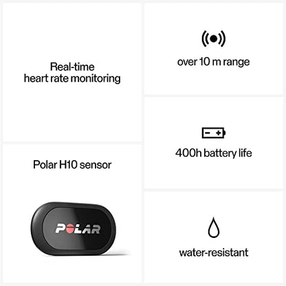 Polar Equine - Pferde Reitsport Trab - H10 Herzfrequenz-Sensor - Wasserdichter Pulssensor mit Brustgurt