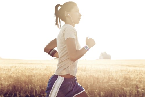 Polar FT4 Heart Rate Monitor - color: (Silver / Black)