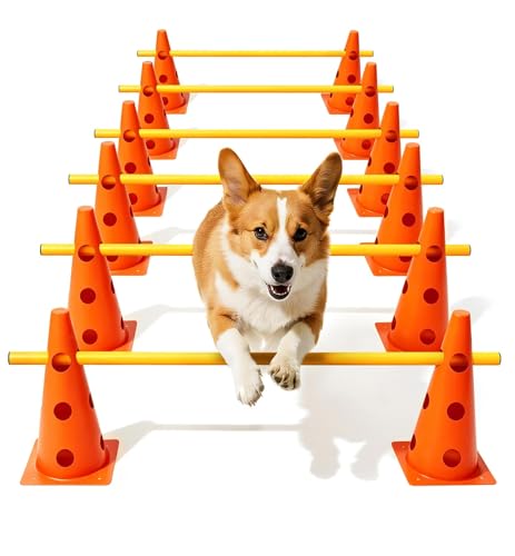Dog Agility Course Backyard Set, Dog Agility Hurdle Cone Set - color: Orange, size: 12 IN