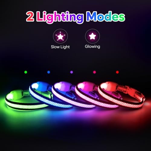 Flashseen LED Dog Collar, Light Up Dog Collar USB Rechargeable, Pink, XS - color: Pink, size: X-Small