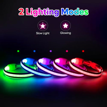 Flashseen LED Dog Collar, Light Up Dog Collar USB Rechargeable, Pink, XS - color: Pink, size: X-Small