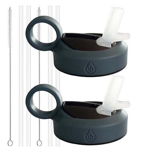 Paravalve 2 Pack High Performance Straw Lid for Wide Mouth Water Bottles, Leak-Proof, Insulated, Soft Touch Ring Handle, BPA Free - color: Gray – Ring x2