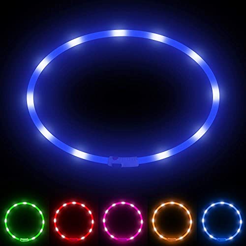 BSEEN Light Up Dog Collar, Cuttable LED Dog Collar Rechargeable Puppy Collar Glowing Safety Dog Walking Lights for Small Medium Large Dogs (Blue) - color: Blue-Standard(70cm)