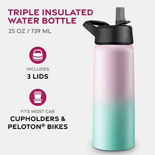 FineDine Insulated Water Bottle with Straw, 25 Oz, Dreamy Pink-Green - color: Dreamy Pink-Green, size: 25 Ounces