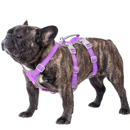 Huntboo Escape Proof Dog Harness, Escape Artist Harness, Reflective Harness with Padded Handle, Breathable, Adjustable Vest for Medium Dogs Walking, Training, and Running Gear (Lavender Purpled, M) - color: Lavender Purple, size: Medium(Pack of 1)
