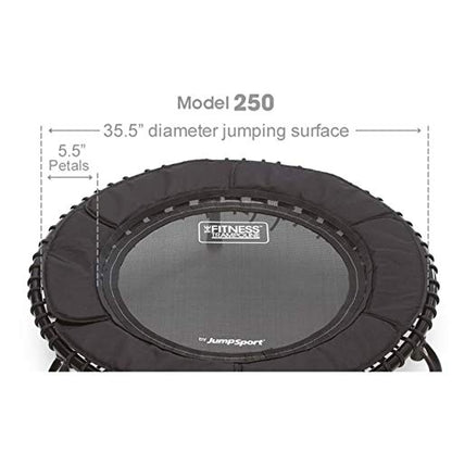 JumpSport 250 Fitness Rebounder Mini Trampoline in Home Cardio Fitness (2 Pack)