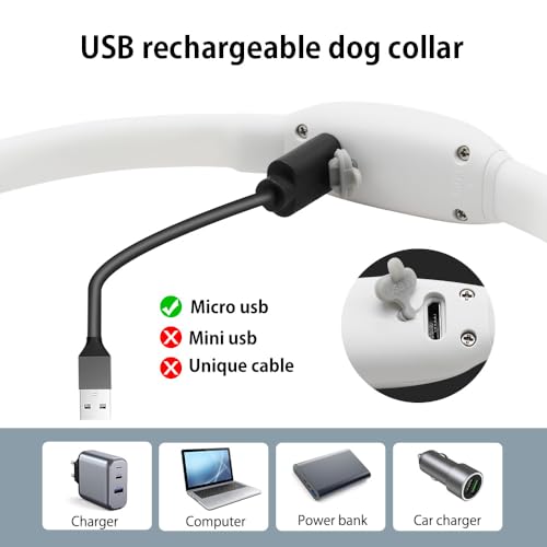 Led Dog Collar, BSEEN Light Up Dog Collars USB Rechargeable Flash Dog Necklace, Silicone Cuttable Lighted Puppy Collar, Glowing Dog Walking Lights for Small Dogs& Cats (Blue-XS(40cm)) - color: Blue-XS(40cm)
