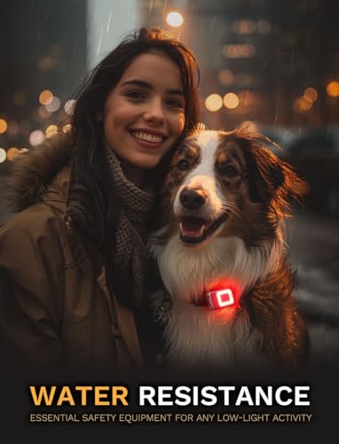 Yls 2 Pack Clip On Running Light - 5 Lighting Modes LED Flashlight, Portable Weatherproof Hat Light, Rechargeable Night Light for Camping, Hiking, Jogging - color: Graphite Gray