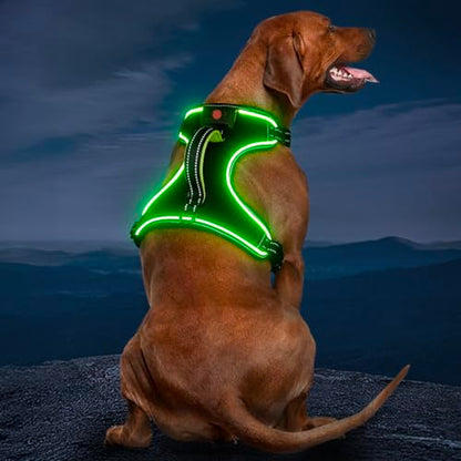 Light Up Dog Harness, Rechargeable LED Dog Vest for Night Walking - color: Black-Green, size: M