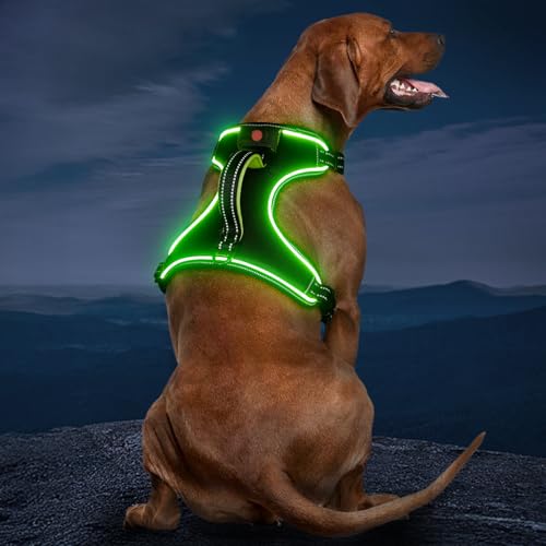 Light Up Dog Harness, Rechargeable LED Dog Vest for Night Walking - color: Black-Green, size: L
