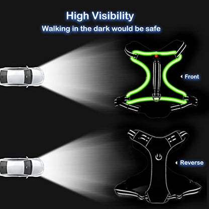 Light Up Dog Harness, Rechargeable LED Dog Vest for Night Walking - color: Black-Green, size: M