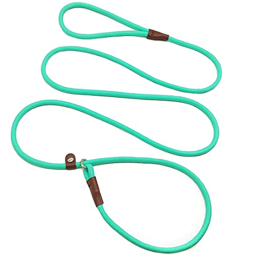 MayPaw Slip Lead Control Leash for Dogs No Pull, 13+ Colors Classic Dog Lead 7 FT Pet Slip Leash, 1/4” Rope Leashes for Small Medium Animals (7ft*1/4", Turquoise) - color: turquoise