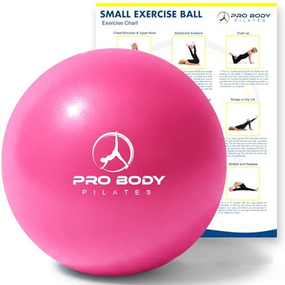 ProBody Pilates Ball Small — 9 Inch Small Exercise Ball - color: Pink