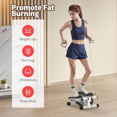 2-in-1 Mini Stepper Machine with Resistance Bands, Compact Under Desk Stair Stepper with Adjustable Hydraulic Resistance, Quiet Low Impact Cardio Stepper with LCD for Home Gym Office