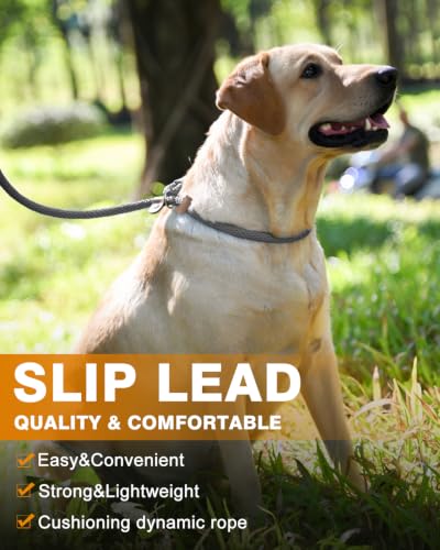 Dog Leash Slip Lead Braided Rope Pet Training Loop Leashes 5ft 6ft 8ft - color: Grey