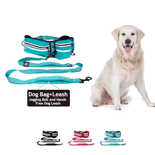 Kruz Hands Free Dog Leash (Waist 26”- 48”, Leash- 1”x 5ft) Premium Waist Belt for Walking, Running & Hike Bungee with Dual Handles, Adjustable Fit, Reflective Safety Design for Large Dogs (Turquoise) - color: Turquoise