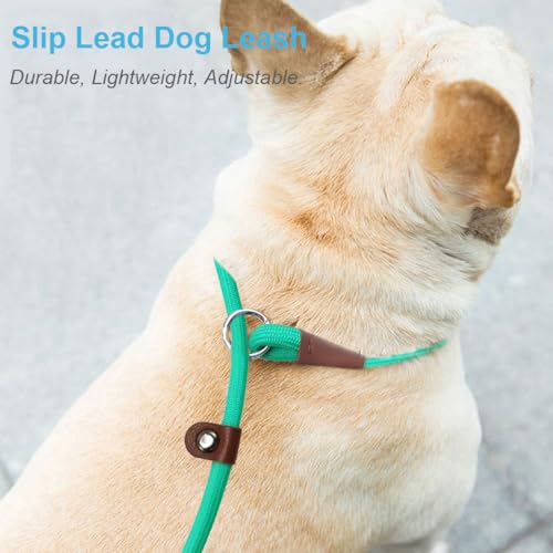 MayPaw Slip Lead Control Leash for Dogs No Pull, 13+ Colors Classic Dog Lead 7 FT Pet Slip Leash, 1/4” Rope Leashes for Small Medium Animals (7ft*1/4", Turquoise) - color: turquoise