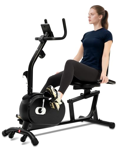 Recumbent Exercise Bike with Arm Exerciser for Home - color: black and sliver