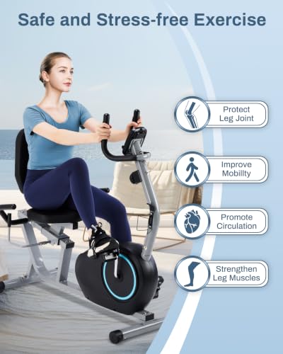 Kawnina Recumbent Exercise Bike for Seniors with 400LB Weight Capacity