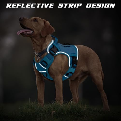 WINGOIN Blue Tactical Dog Harness for Large Dogs,No Pull Dog Harnesses - color: Blue, size: Large: 45-80 lbs (Chest:27-37",Neck:19-25")